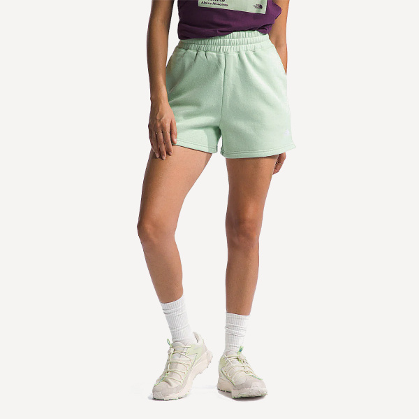 Шорты TNF W Evolution Short (Женский; L; MistySage)